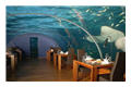 дизайн: Ресторан Ithaa под водой