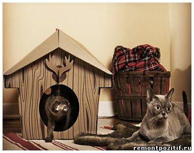 Животные и интерьер: как обустроить место для кошки в доме. Виды
